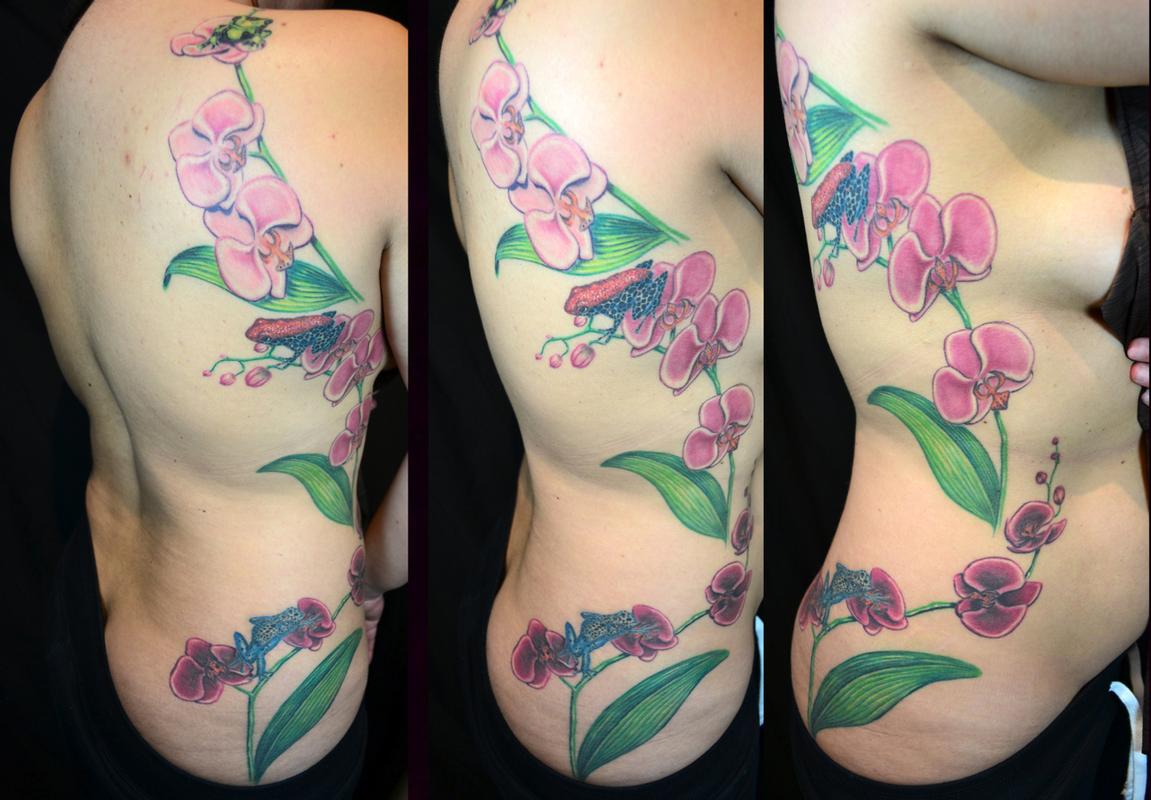 Tattoos - Orchids and Poison Dart Frogs - 62054